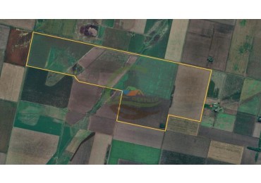 275 Ha Agricolas - San Jeronimo - Centeno - Santa Fe