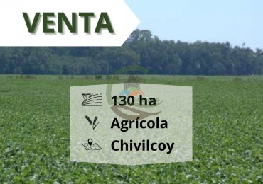 130 ha Agricolas - Chivilcoy