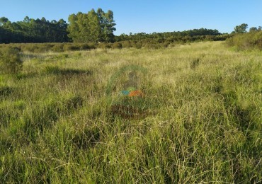650 Ha Ganaderas - El Catete - Uruguay