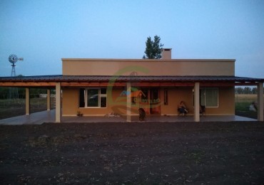 36 ha mixtas . general alvear