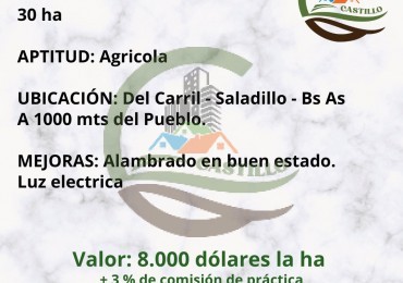 30 ha Agricolas - Saladillo