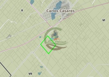 675 ha Mixtas - Carlos Casares
