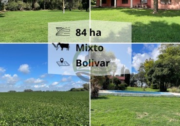 84 ha mixta - Bolivar