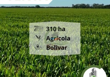310 ha agricolas - bolivar 