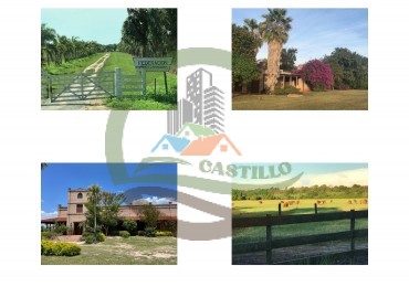 43000 ha MIxtos - Formosa