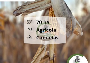 70 ha agricolas - cañuelas