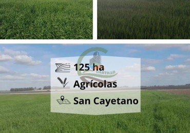 125 ha Agricolas - San Cayetano