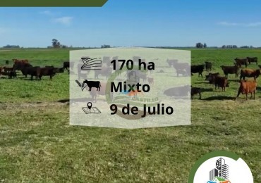 180 ha mixtas - 9 de julio