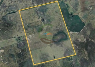 107 Ha Mixto - Carlos Tejedor