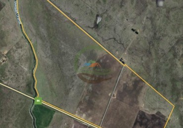 283 Ha Mixto - Necochea