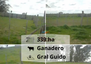 339 ha Ganaderas - Gral Guido