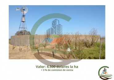 1102 ha mixtas - Roque Perez
