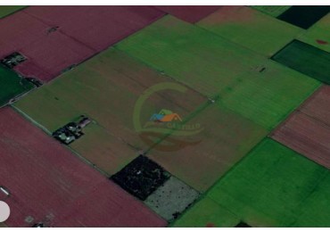 144 Ha Agricolas - Cavanagh - Cordoba 