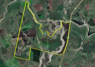 469 Ha Mixto - Chascomus
