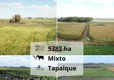 5382,89 Ha Mixtas - Tapalque