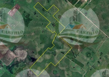 220 Ha Mixto - Cañuelas