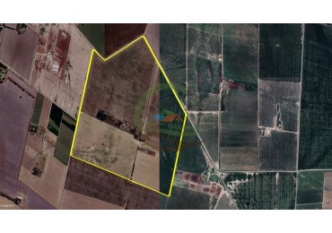 243 Ha Agricolas - Villa Maria - Cordoba