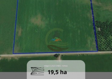 19,5 ha agricolas - pergamino