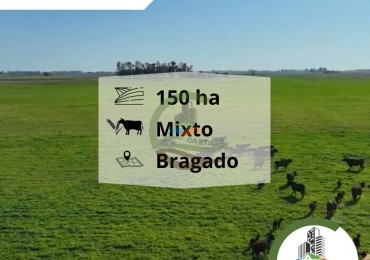 168 ha mixtas - bragado