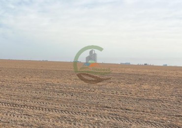 1240 Ha Mixto - 17 de Agosto - Puan