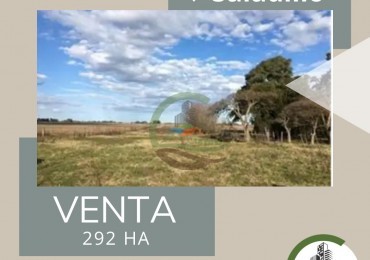 292 ha Mixtas - Del Carril