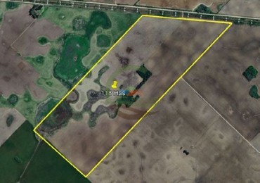 118 Ha Agricolas - Irala - Bragado