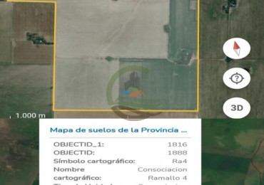 199 ha Agricolas - Pergamino 