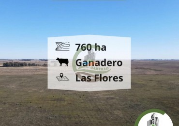 763 ha ganadero - las flores
