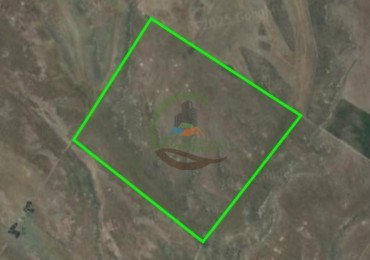 190 Ha Ganadero - Bahia Blanca
