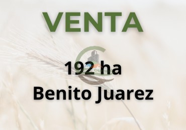 192 ha mixto - benito juarez
