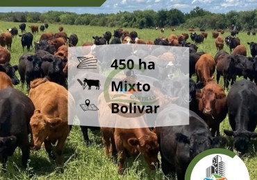 450 Ha Mixto - Bolivar