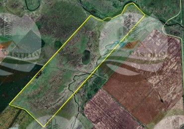 155 ha ganadero - Pergamino
