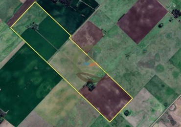 88 Ha Agricolas - Reynoso - Saladillo 