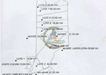 4168 Ha Mixto - San Luis del Palmar - Corrientes