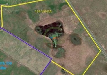 154 ha Ganaderas - Chascomus