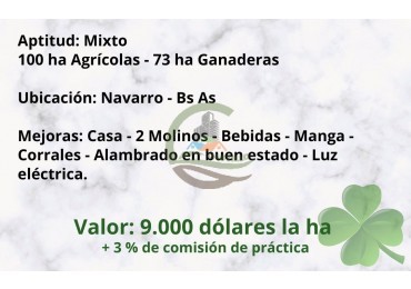 173 ha MIxtas - Navarro