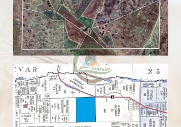 1917 ha mixto - gral alvear