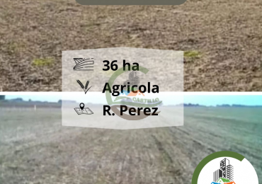 36 ha agricolas - roque perez 