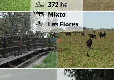 372 ha Mixtas - Las Flores