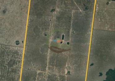 810 ha Agricolas - Fortin Inca - Santiago del Estero