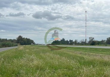 37,5 Ha Agricolas - Zarate