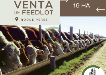 19 ha feedlot - roque perez