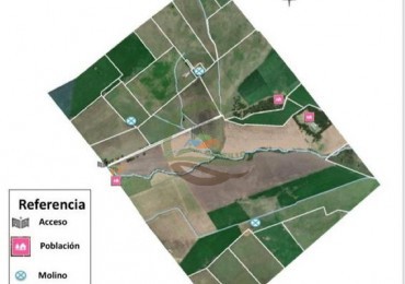 670 Ha Mixto - Balcarce