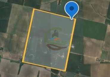 220 Ha Agricola - Elena - Cordoba