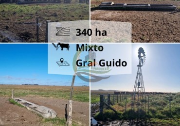 339 ha mixtas - general guido