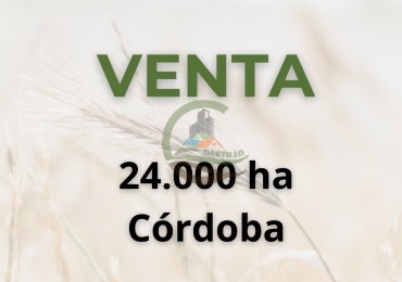 24000 ha mixtas - cordoba 