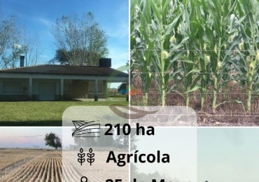 210 ha Agricolas - 25 de MAyo 