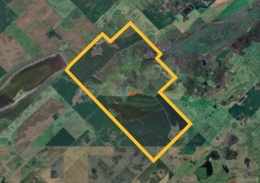 316 Ha Mixto - Bolivar - Urdampilleta 