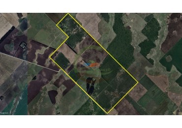 338 Ha Agricolas - Loberia - Alquiler