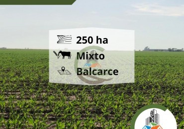 254 ha mixtas - balcarce